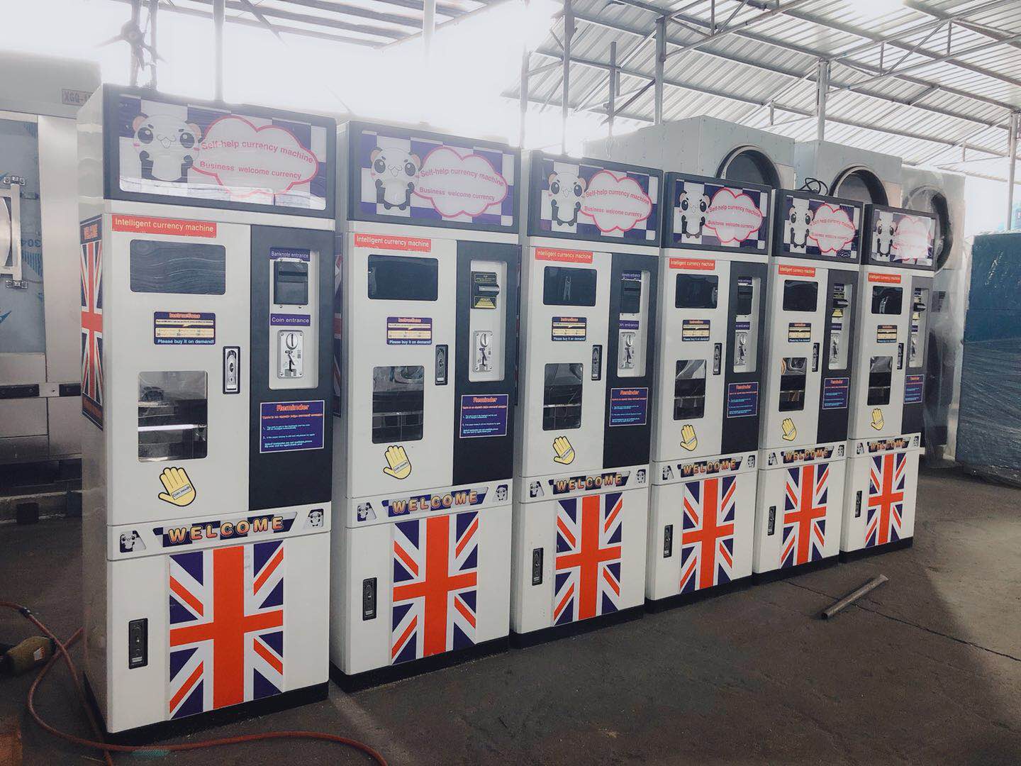 全自動洗脫機廠家